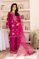 Embroidered Solid Dress - 3 Pc