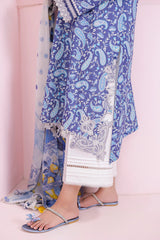 Embroidered Motifs & Chiffon Dupatta - 3 PC | Formal Wear